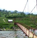 Sapa