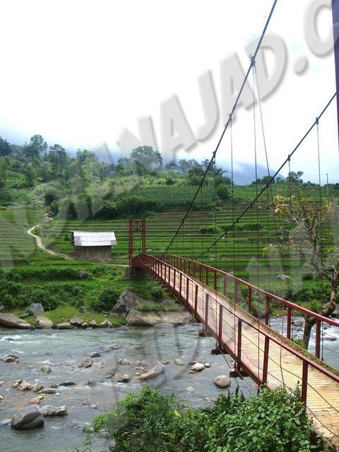 Sapa