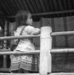 Sapa