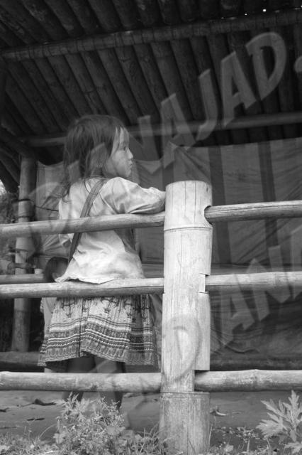 Sapa