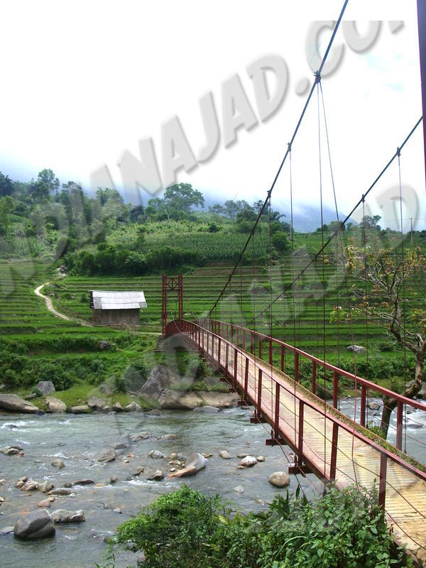 Sapa