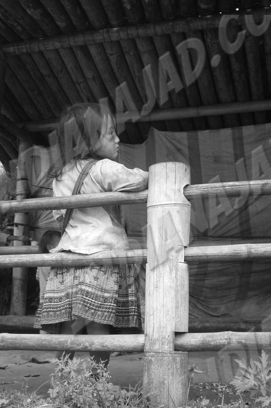 Sapa