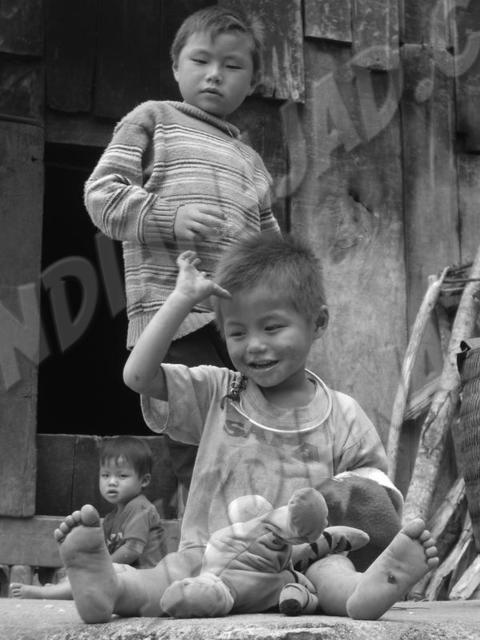 Sapa