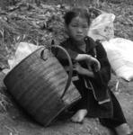 Sapa