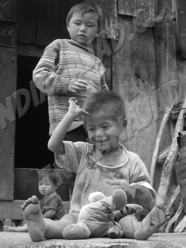 Sapa