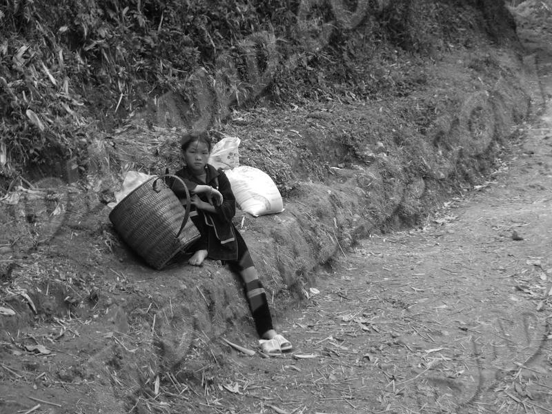 Sapa