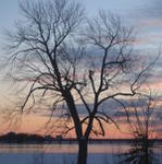 Québec - Gatineau