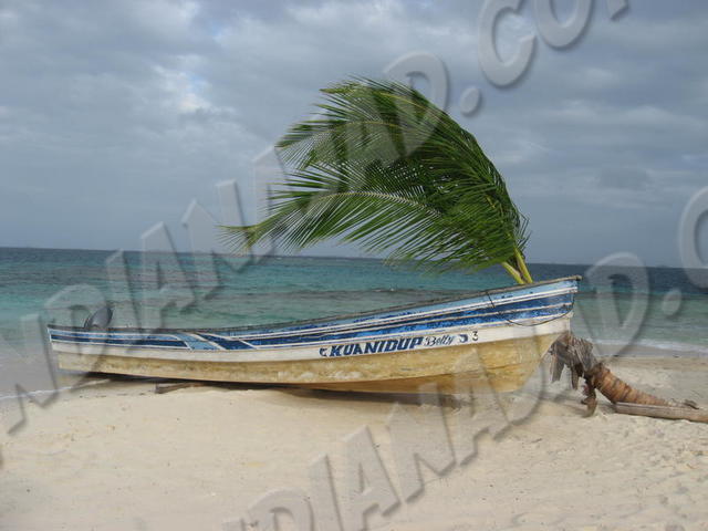 Kuanidup Grande