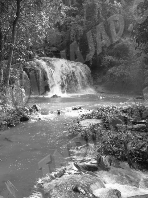 Chiang Mai (Région de)
