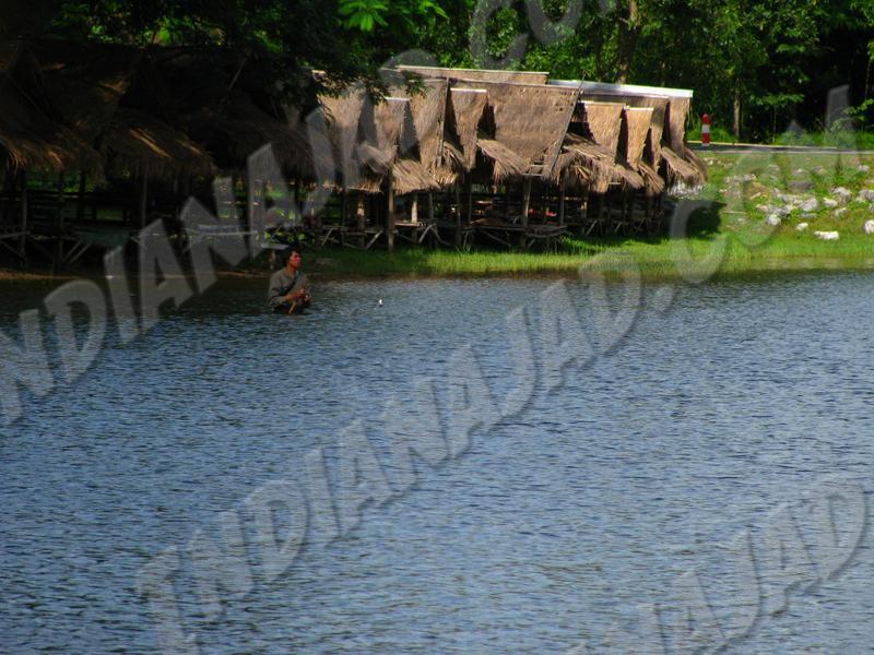 Chiang Mai (Région de)