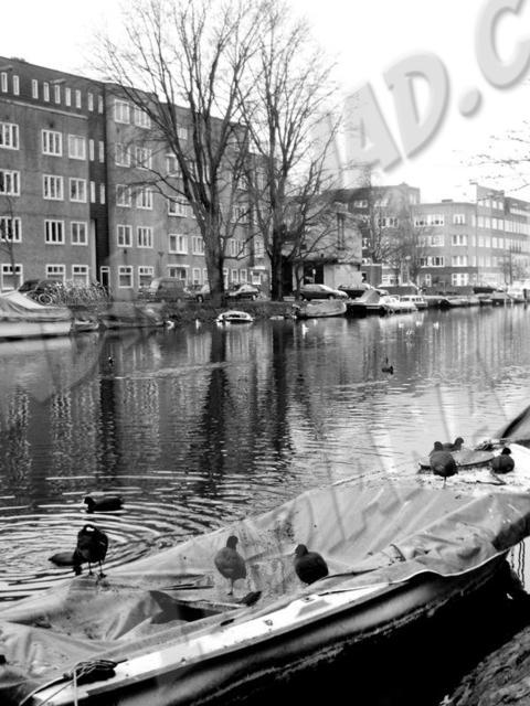 Amsterdam