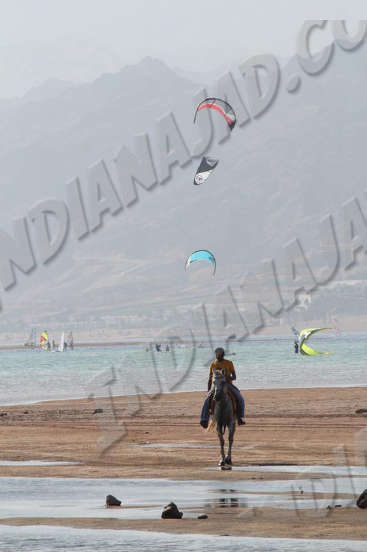 Dahab