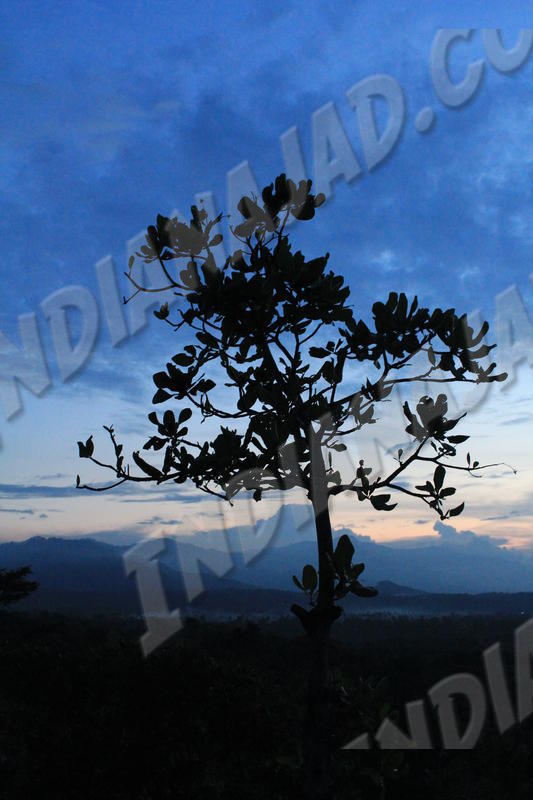 Banjar