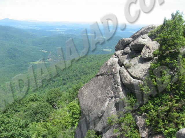 Virginie - Parc Shenandoah
