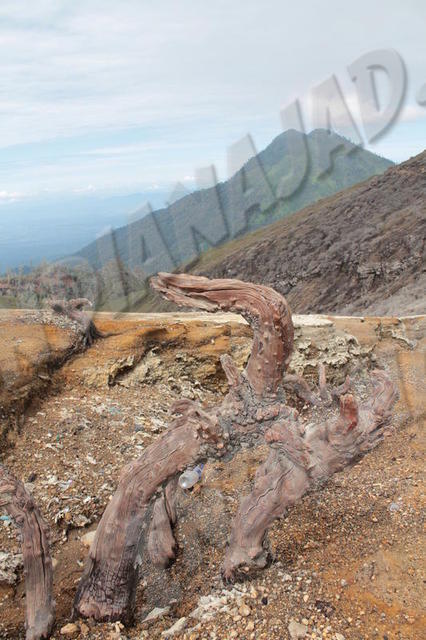 Ijen