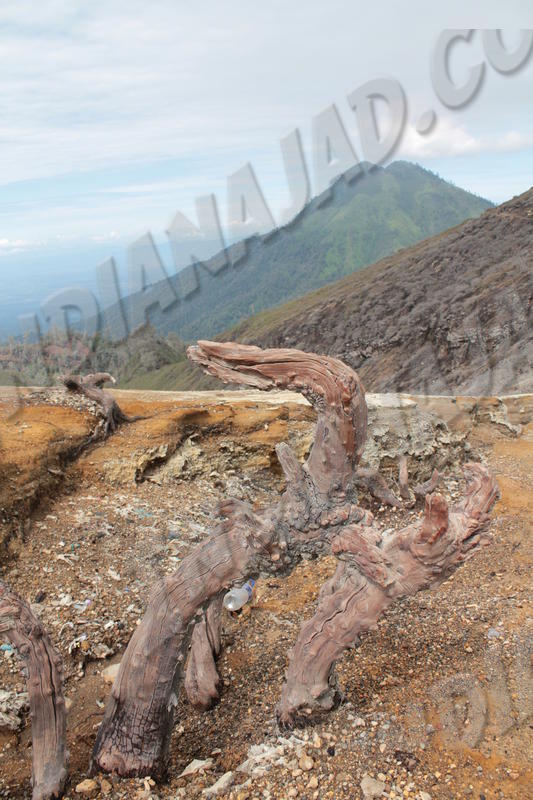 Ijen