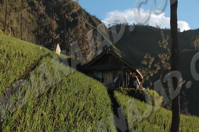 Cemoro Lawang