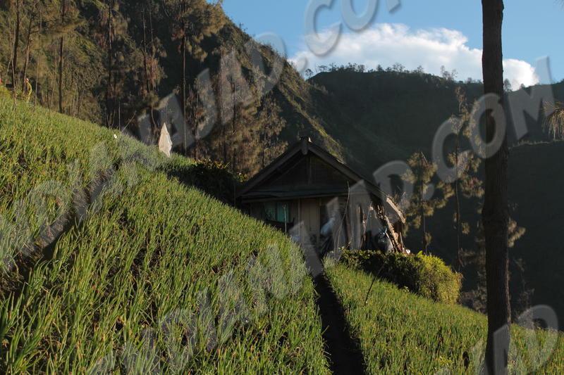Cemoro Lawang