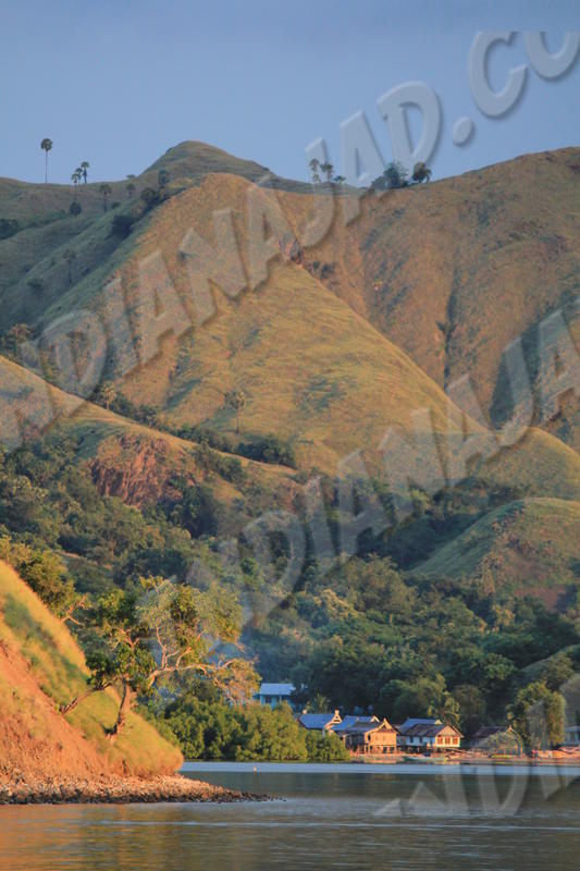 Parc de Komodo