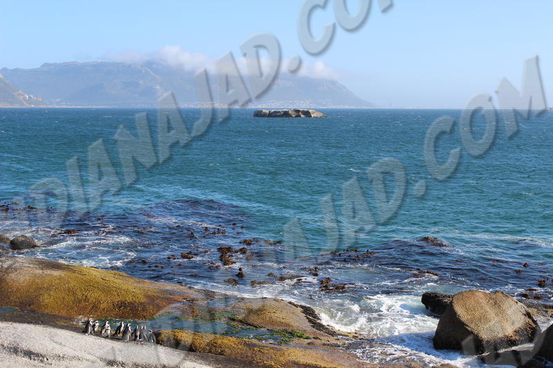 Simon's Town