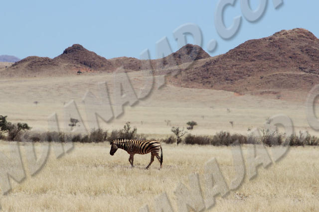 Namibie
