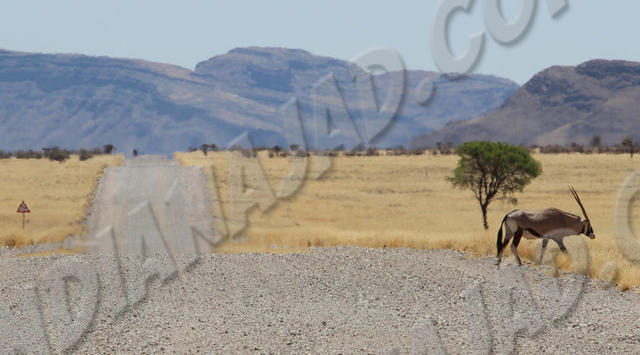 Namibie