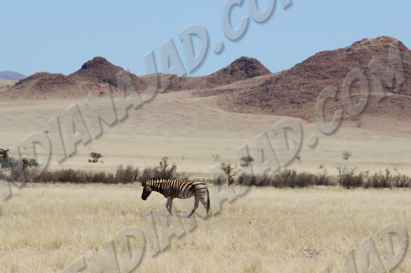 Namibie