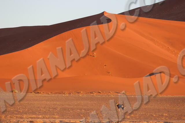 Sossusvlei