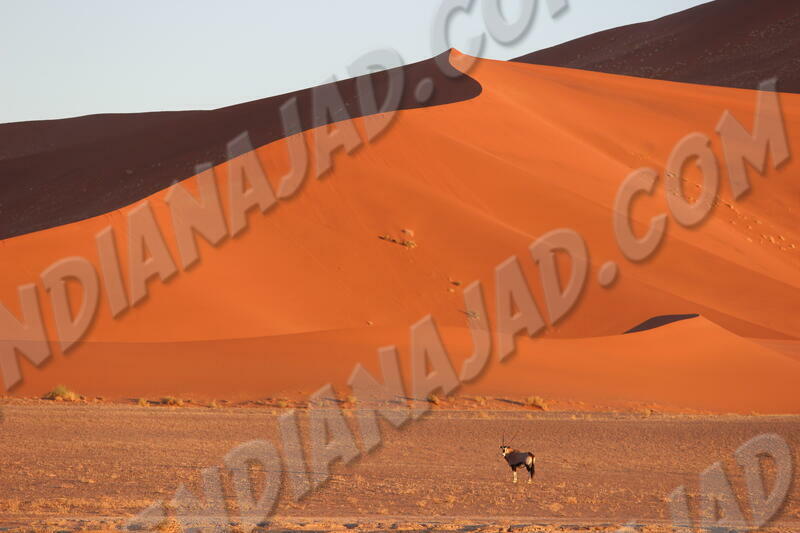 Sossusvlei