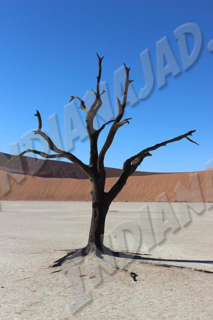 Sossusvlei