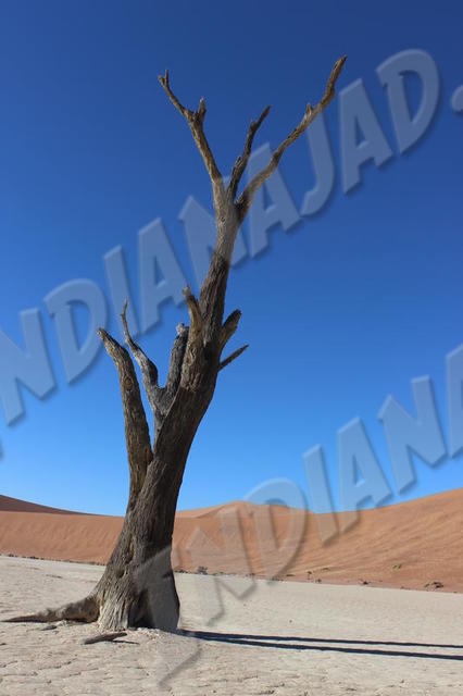 Sossusvlei